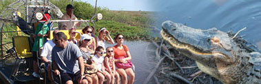 everglades tours