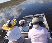airboat tours