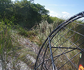 airboat tours